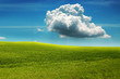Rain Cloud