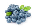 Photo en ligne au meilleur prix Blueberries isolated on white background