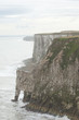 Bempton Cliffs View