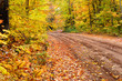 Beckoning Backroad