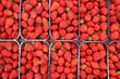 étal de fraises au marché étal de fraises au marché