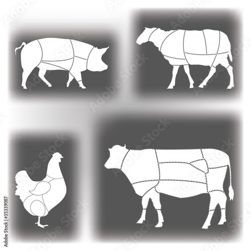 Vector: Meat diagrams Meat diagrams