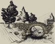 the old stone bridge in the woods across the river