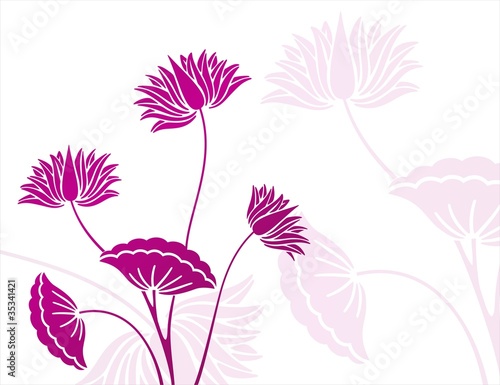 Vector: water lilies water lilies