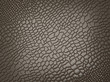 Alligator skin: useful as texture or background