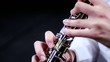 oboe, particolare, tasti e meccaniche