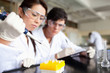 Two serious scientists making an experiment