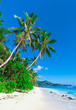 Shore Bay Landscape Shore Bay Landscape