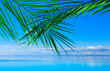 Scene Beach Background Scene Beach Background
