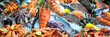 Quadro Fresh seafood