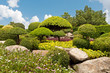 japanischer Garten