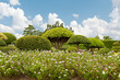 japanischer Garten