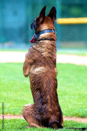 Photo: Sitting Tall Sitting Tall