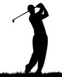 Golfer, Sagoma 3D