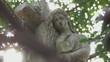 Mary Magdalene Cemetery statue