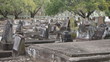 Graveyard (Various)