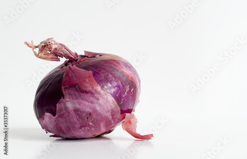 Photo: Red Onion Red Onion