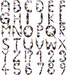 People Form Alphabet And Numbers