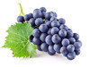 blue grapes with green leaf