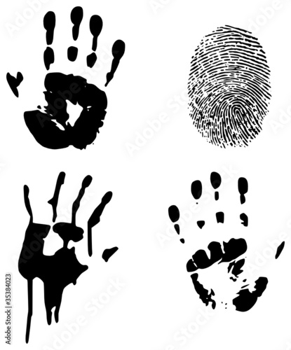 Vector: hand and fingerprints hand and fingerprints