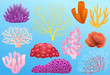 Corals