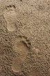 walk