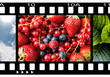 Film texture