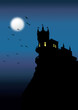 Swallow Nest at Night