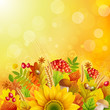 Autumn background