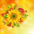 Autumn background