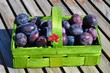 Zwetschgen, Obst, Herbst