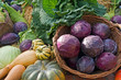 Vegetables and salads