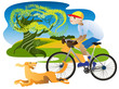Irish Setter and cyclist