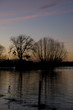Hochwasserromantik 4