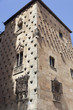 Casa de las Conchas (Salamanca)
