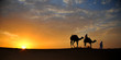 Desert