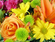 flower bouquet background 11