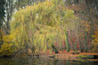 Pond in the autumn park