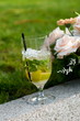 Mojito cocktail
