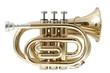 golden pocket trumpet golden pocket trumpet