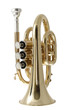 golden pocket trumpet golden pocket trumpet