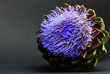 Artischockenblüte