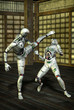 martial arts robot kung fu
