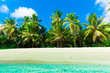 Coconut Foliage Park