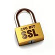 Vorhängeschloss - liegend - 256 BIT SSL