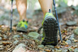 Photo: Woman exercising in forest, nordic walking Woman exercising in forest, nordic walking