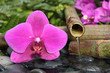 Source de fleur