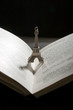Photo: Book with eifel sculpture Book with eifel sculpture