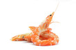 shrimp
