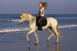 Foto: trab am strand trab am strand